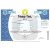 Snap Stock - One Share Snap Stock - One Share