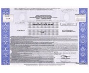 Sony - Replica Stock Certificate
