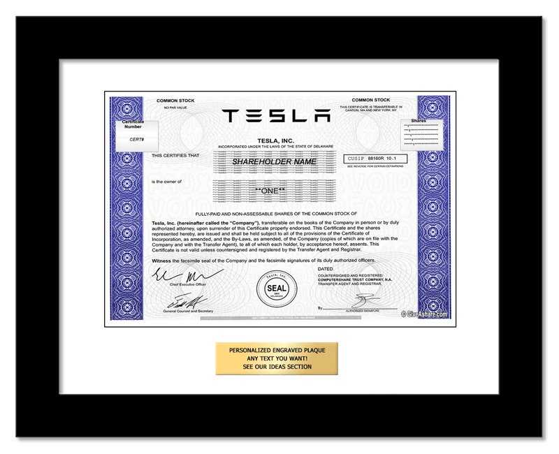 framed tesla stock